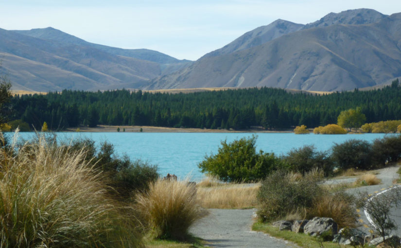 19) Von Christchurch nach Dunedin – Familienhopping